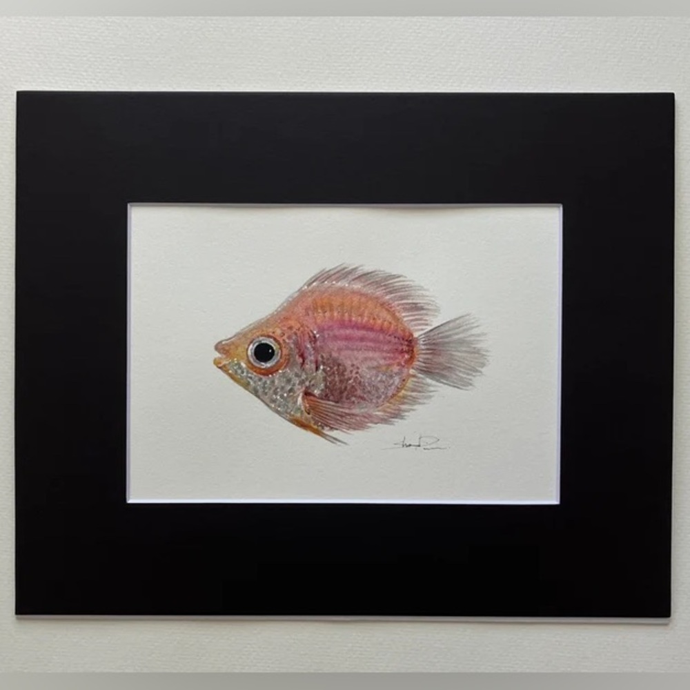 Original Watercolor Cute Tropical Fish Painting by me (Shannon Perrie/Perrie…